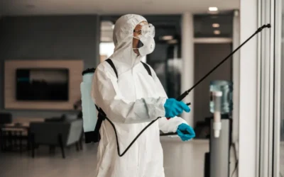 A Importância em realizar a dedetização em sua residência