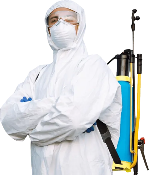 Prev Inset Soluções - Serviços profissional