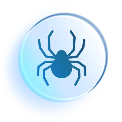 Desinsetização de Aranha - Previnset