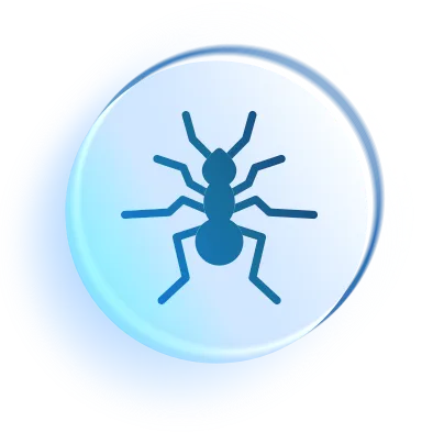 Desinsetização de Formigas - Previnset